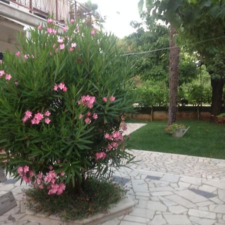 Vila Alma Porec Exterior photo